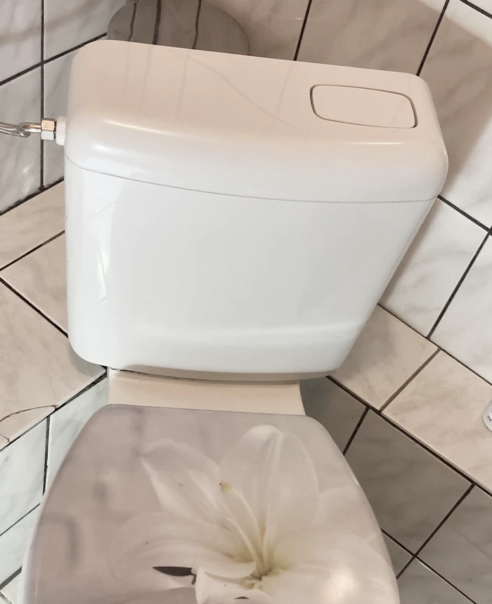 BOSA Spülkasten WC nachher