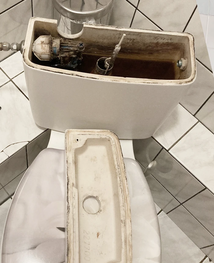 BOSA Spülkasten WC vorher